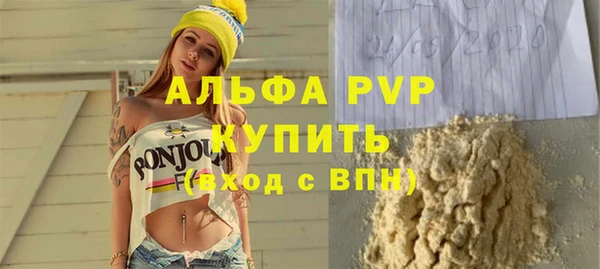 хмурый Аркадак