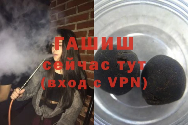 стаф Новокубанск