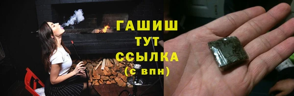 хмурый Аркадак