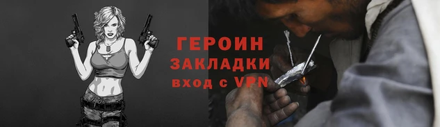 хмурый Аркадак