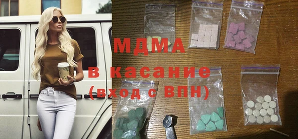 хмурый Аркадак