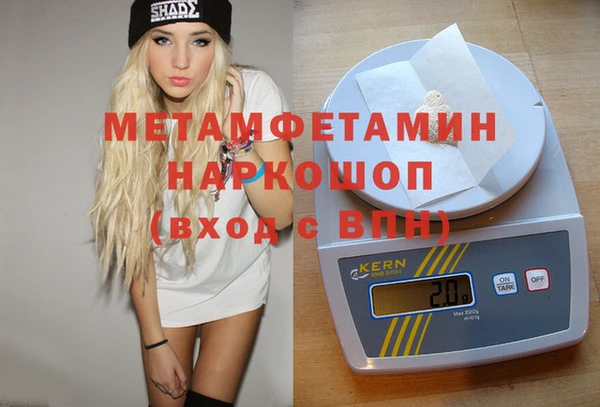 хмурый Аркадак