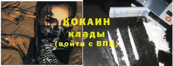хмурый Аркадак