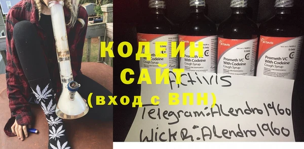 хмурый Аркадак