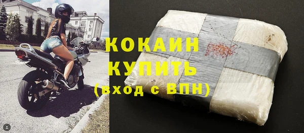 хмурый Аркадак