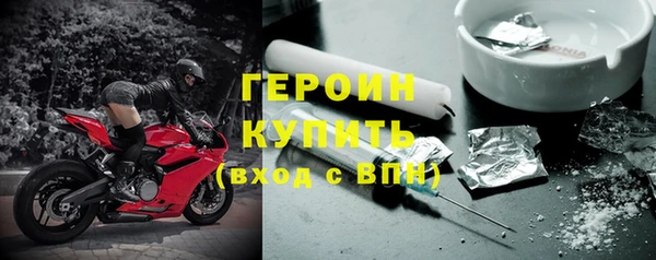 хмурый Аркадак