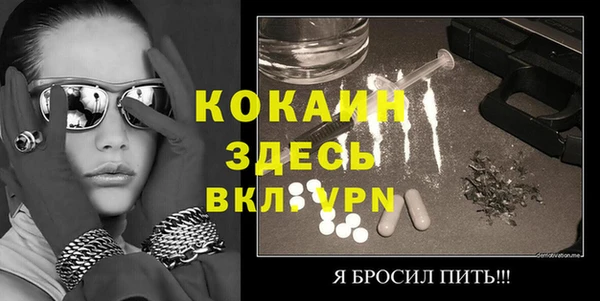 хмурый Аркадак