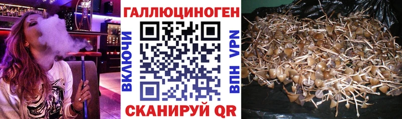 Псилоцибиновые грибы Magic Shrooms  Спасск-Рязанский 